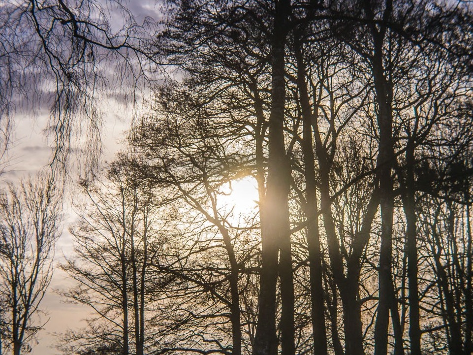 SPF Båstad Bjäre